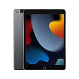 2021 Apple iPad (10,2', Wi-Fi + Cellular, 256 GB) - Space Grau (9. Generation)